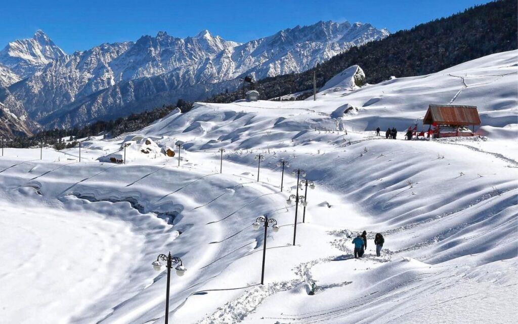 Auli