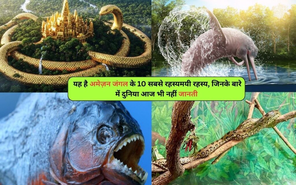 Mysterious Secrets of the Amazon Rainforest: यह है अमेज़न जंगल के 10 सबसे रहस्यमयी रहस्य, जिनके बारे में दुनिया आज भी नहीं जानती
