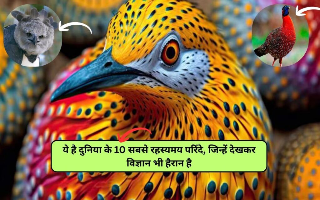 Top 10 Mysterious Birds in the World : ये है दुनिया के 10 सबसे रहस्यमय परिंदे, जिन्हें देखकर विज्ञान भी हैरान है